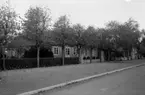 Granlundagården Anders Perssons gård januari 1940, 14474.