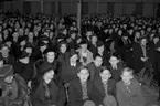 Allehanda frågesporten i Folkets Park, finalen juli 1939, 14147.