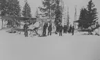 Två norska, nödlandade militära flygplan Tiger Moth på ett fält, vintertid. Militärer i arbete vid flygplanen.