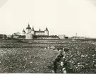 Kalmar slott från Kalmarsundsparken.