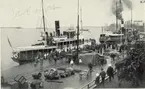 Jarl av Oskarshamn
1907