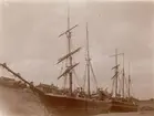 Preference av Mollösund (1907)