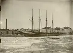 Svanen i Härnösands hamn cirka 1915-20.