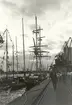 Tall Ships Race
Malmö 1972