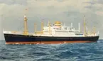 Fartyget M W Westerdam som tillhörde Holland-Amerika line.