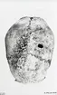 Grav 23. Kranium III ovanifrån.