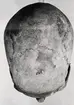 Grav 31. Skelett IV. Kranium sett ovanifrån.
