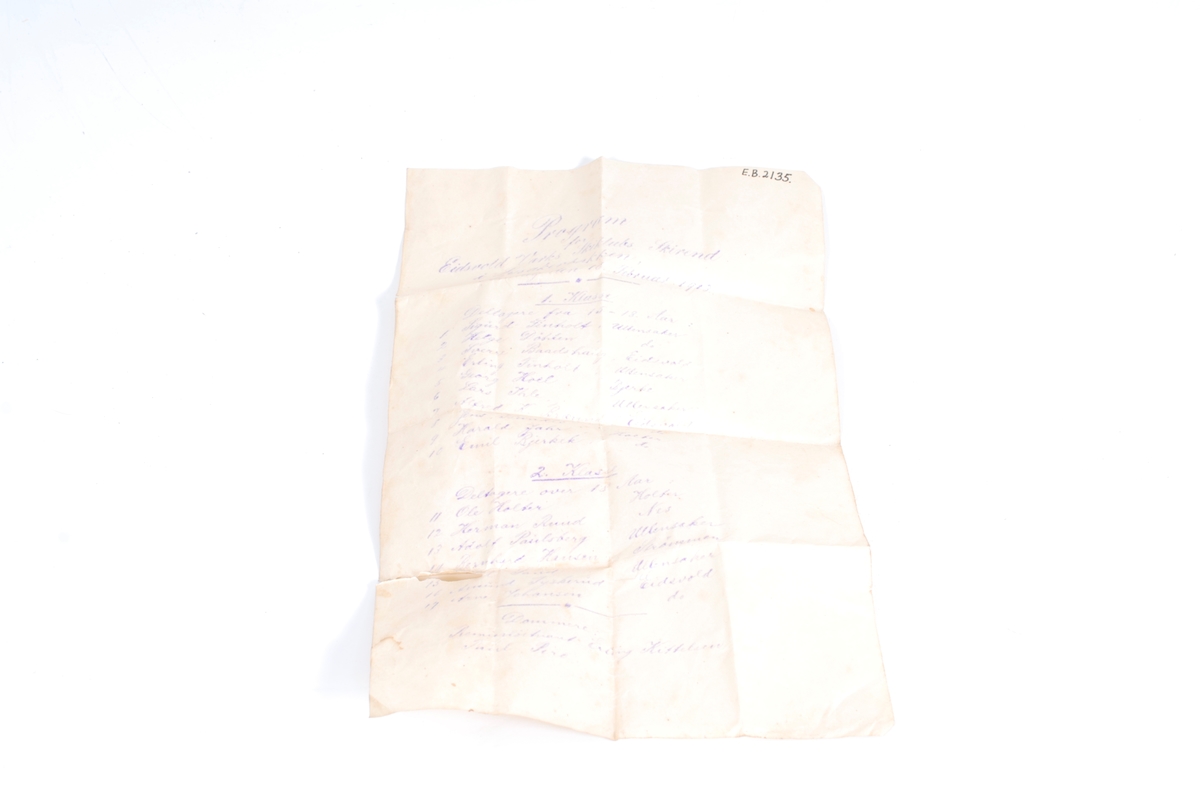 Program, skirenn