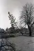 Röjningsarbeten för nya polishuset, Kalmar.