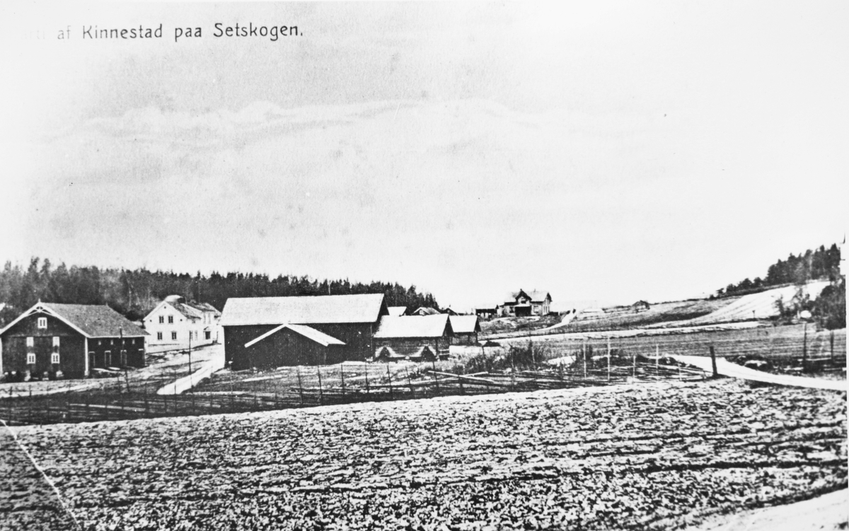 ”Parti af Kinnestad paa Setskogen”, ca. 1905