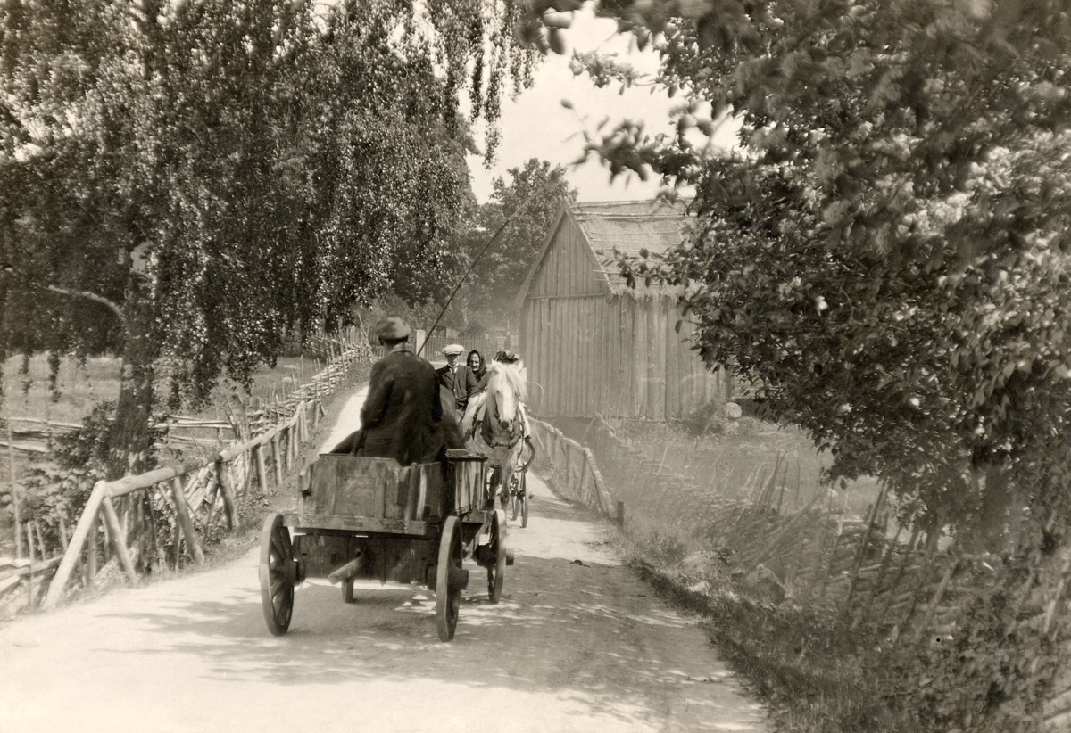 Hästskjutsar möts på grusväg på landsbygden.