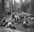 Rast i skogen. Norrlands dragonregemente K4, Umeå, 1955-1956.