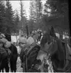 Hästar och soldater i skogen. Värnplikt vid Norrlands dragonregemente K4, Umeå, 1955-1956.