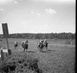 Kapplöpning vid Norrlands dragonregemente K4, Umeå, 1955-1956.