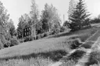 Tällbergs Turistgård Postpersonalens Semesterhem i Tällberg,
1956.