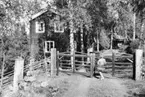 Tällbergs Turistgård.  Postpersonalens Semesterhem i
Tällberg, 1956.