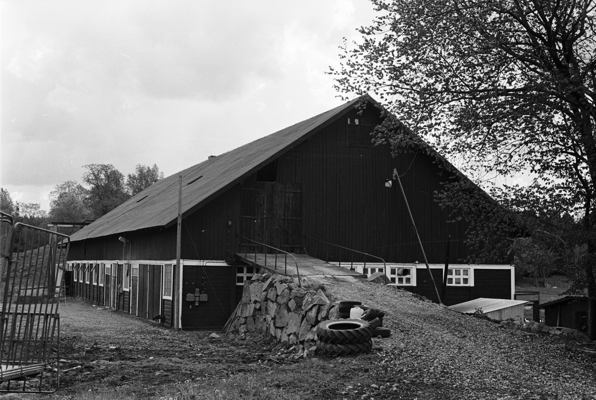 Ladugård, Lydinge 1:1, Lydinge gård, Stavby socken, Uppland 1987