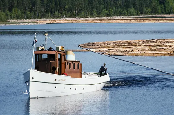 Trysilknut sleper tømmer i 1981