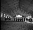 Kavalleriövning i ridhusen vid Norrlands dragonregemente K4, Umeå, 1955-1956.