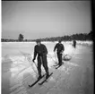 Värnpliktiga på skidor dragande pulkor. Norrlands dragonregemente K4, Umeå, 1955-1956.