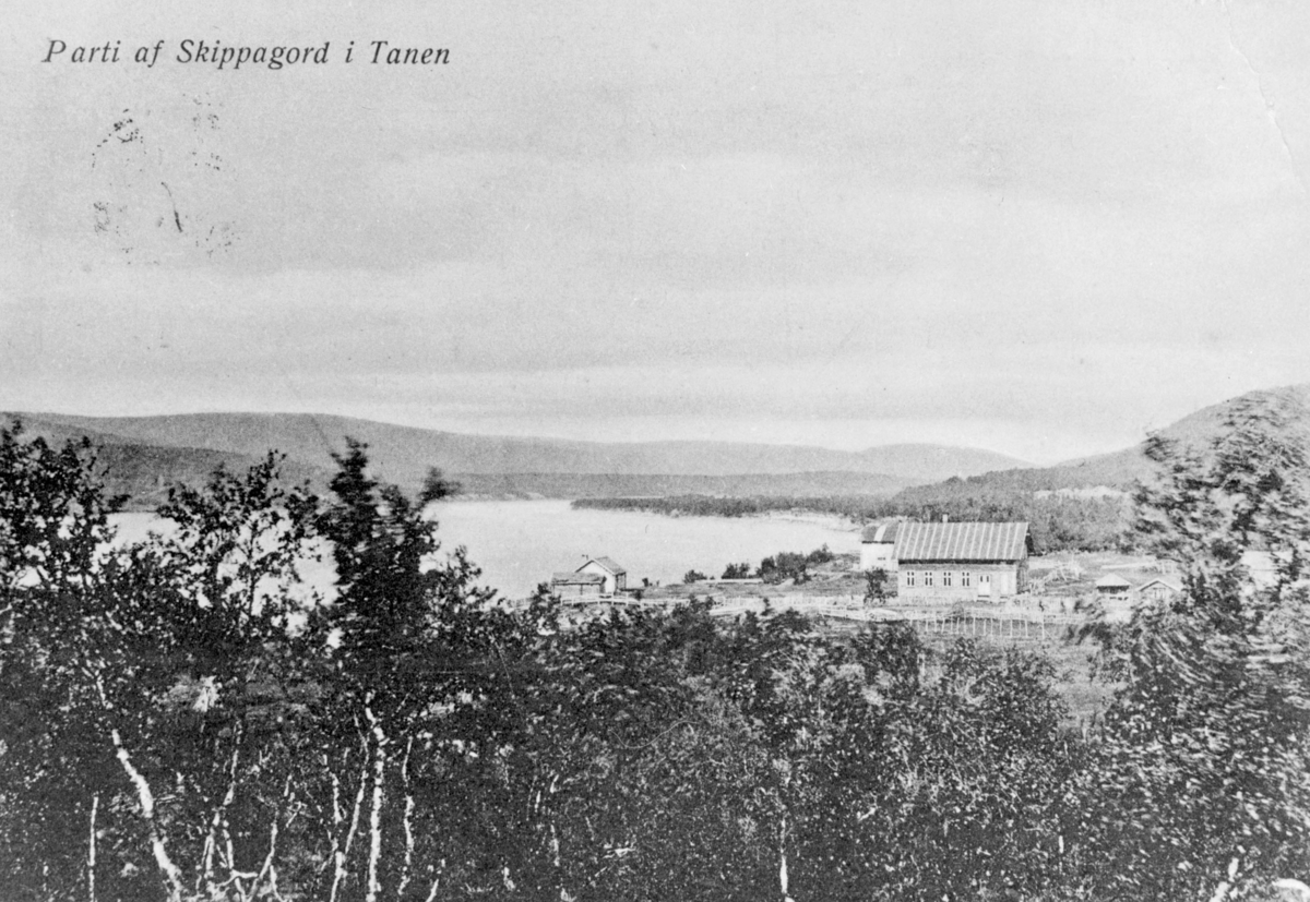 Et postkort som er stemplet "Nyborg 30.XII.1918". Det er sendt fra Marie og Edv. Opdahl, til fru Frida Øwre, Vadsø. Bildet viser et parti av Skippagurra i Tana. I forgrunnen kan vi se en masse trær.  I bakgrunnen etgård med hus og noen uthus ved elvebredden.