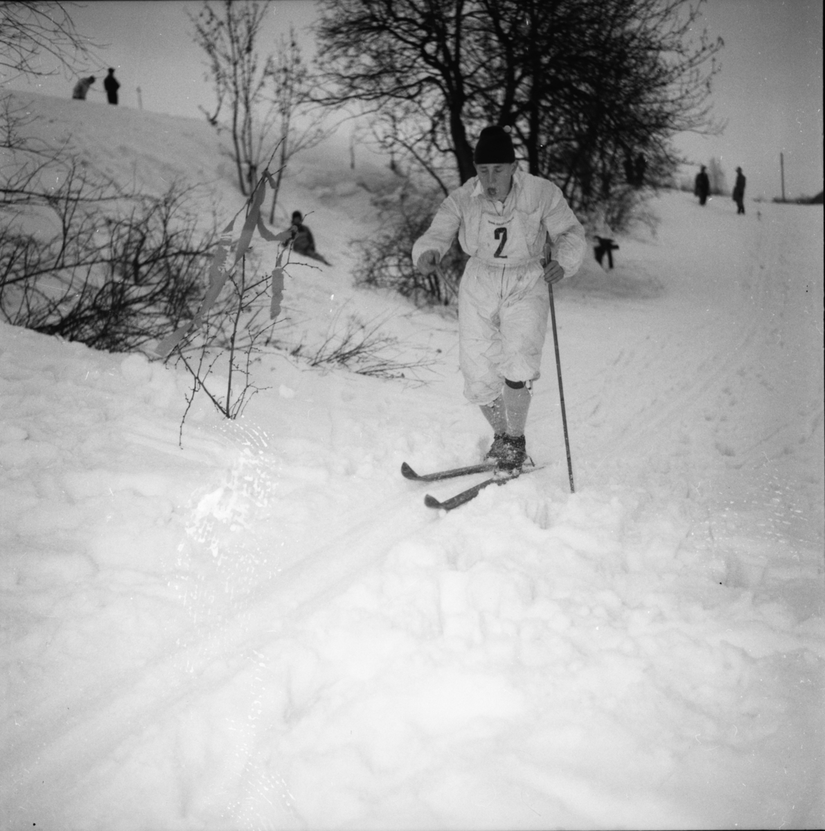 Vardens arkiv. "15 km langrenn v/Skidar"  13.03.1954