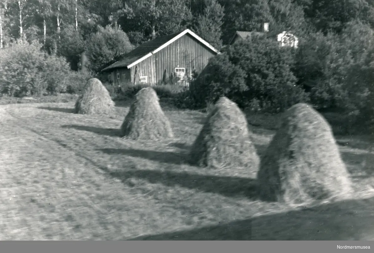 4 høystaker og eit hus i skogkanten.