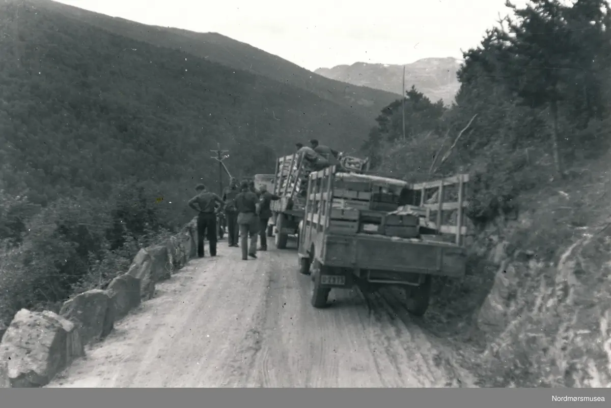 Biler og soldater som står langs med veien og ser framover.
Bakerste lastebil har registreringsnr. U-2975. i "Hvem eier bilen 1940" står den på Einar Mjøen, Oppdal som Diamond T lastebil. Det samme i 1939. Kilde: Ivar E. Stav