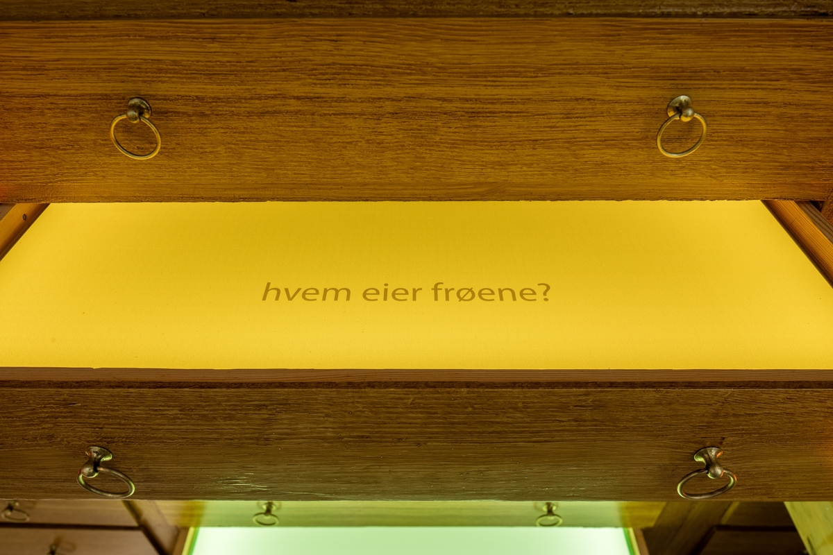 Hanne Tyrmi jobber innenfor et mangfold av skulpturelle uttrykk og teknikker. Verket "Frøfortellinger / Stories of Seeds" er et kunstnerisk og poetisk innspill i klimadebatten som føres innenfor ulike fagfelt på NMBU.

Tyrmi har tatt i bruk et fredet vitrineskap, et tidligere undervisningsskap, som utgangspunkt sin kunstneriske installasjon.10 av skuffene står åpne og er dekket av glassflater i monokrome farger hentet fra himmel, jord og hav. Platene ligger over skuffene som er lyssatt, og på hver av dem er det trykket en kort tekst. Tekstene er basert på samtaler Tyrmi har hatt med planteforsker og vekstgenetiker Roland von Bothmer, som bl.a. er involvert i arbeidet med Frøhvelvet på Svalbard, og på notater fra et seminar om Global Diversity i Longyearbyen. De 14 bronseskulpturer som ligger på glasshyller inne i skapet er individuelt utformet med utgangspunkt i frø fra ulike nyttevekster, som har vært og er viktige for folk i ulike deler av verden. Slik er de en påminnelse om et artsmangfold som er truet fra mange hold.