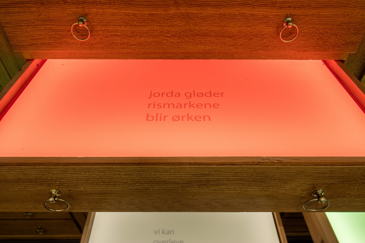 Hanne Tyrmi jobber innenfor et mangfold av skulpturelle uttrykk og teknikker. Verket "Frøfortellinger / Stories of Seeds" er et kunstnerisk og poetisk innspill i klimadebatten som føres innenfor ulike fagfelt på NMBU.

Tyrmi har tatt i bruk et fredet vitrineskap, et tidligere undervisningsskap, som utgangspunkt sin kunstneriske installasjon.10 av skuffene står åpne og er dekket av glassflater i monokrome farger hentet fra himmel, jord og hav. Platene ligger over skuffene som er lyssatt, og på hver av dem er det trykket en kort tekst. Tekstene er basert på samtaler Tyrmi har hatt med planteforsker og vekstgenetiker Roland von Bothmer, som bl.a. er involvert i arbeidet med Frøhvelvet på Svalbard, og på notater fra et seminar om Global Diversity i Longyearbyen. De 14 bronseskulpturer som ligger på glasshyller inne i skapet er individuelt utformet med utgangspunkt i frø fra ulike nyttevekster, som har vært og er viktige for folk i ulike deler av verden. Slik er de en påminnelse om et artsmangfold som er truet fra mange hold.
