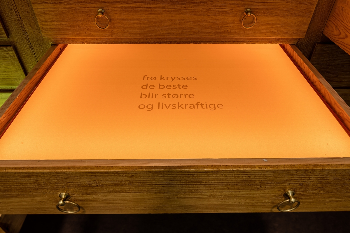 Hanne Tyrmi jobber innenfor et mangfold av skulpturelle uttrykk og teknikker. Verket "Frøfortellinger / Stories of Seeds" er et kunstnerisk og poetisk innspill i klimadebatten som føres innenfor ulike fagfelt på NMBU.

Tyrmi har tatt i bruk et fredet vitrineskap, et tidligere undervisningsskap, som utgangspunkt sin kunstneriske installasjon.10 av skuffene står åpne og er dekket av glassflater i monokrome farger hentet fra himmel, jord og hav. Platene ligger over skuffene som er lyssatt, og på hver av dem er det trykket en kort tekst. Tekstene er basert på samtaler Tyrmi har hatt med planteforsker og vekstgenetiker Roland von Bothmer, som bl.a. er involvert i arbeidet med Frøhvelvet på Svalbard, og på notater fra et seminar om Global Diversity i Longyearbyen. De 14 bronseskulpturer som ligger på glasshyller inne i skapet er individuelt utformet med utgangspunkt i frø fra ulike nyttevekster, som har vært og er viktige for folk i ulike deler av verden. Slik er de en påminnelse om et artsmangfold som er truet fra mange hold.