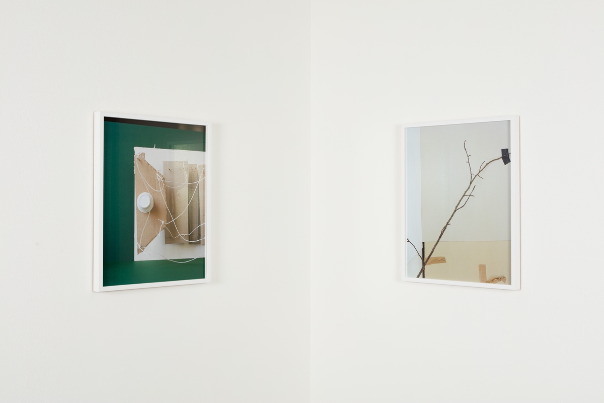Hennes prosjekt for Urbygningen "Still Life #1- 9" er serie fargefotografier som viser ulike objekter fra virksomheten ved NMBU. Objektene er iscenesatte og bildene fremstår som fargerike, dekorative stilleben der gjenstandene inngår i et nærmest surrealistisk univers. Fotografi oppfattes av mange som å være et objektivt sannhetsvitne, men hva slags sannhet som dokumenteres her er høyst uklar. Marte Aas framhever at all forskning er en del av ulike sannhetsregimer som både kan utfordre og utslette hverandre over tid. En forskningsprosess vil alltid bære med seg subjektiv omgang med en objektiv virkelighet. Betrakteren er alltid en del av det hun betrakter. De objektene vi omgir oss med er ikke nøytrale og de forteller ofte potente historier om samtid, ideologi og politikk. Ved å isolere og tydeliggjøre noen av tingene fra NMBU i fotografier vil kanskje en ny historie om universitetet kunne leses. Hennes arbeider baserer seg snarere på et poetisk enn et positivistisk, forhold til tingene. De ni fotografiene er montert som to serier og plassert i sosiale soner foran to av byggets foredragssaler.