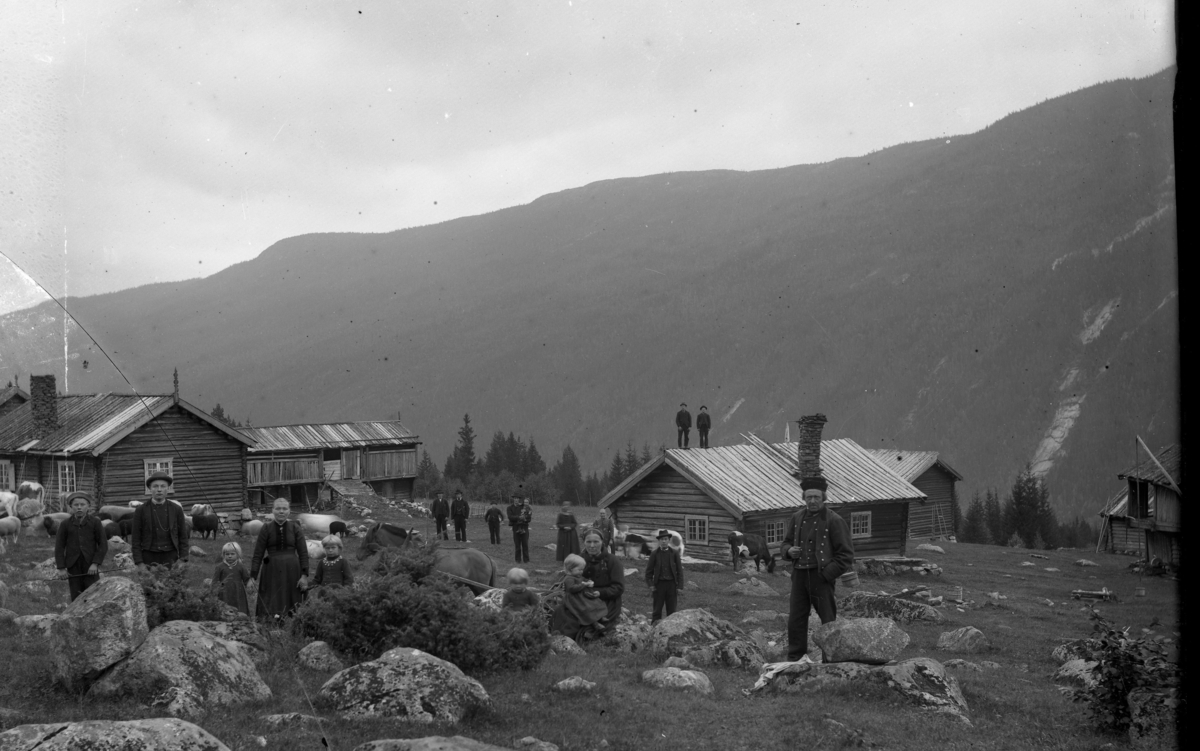 Jegleim på Tuppeskogen.