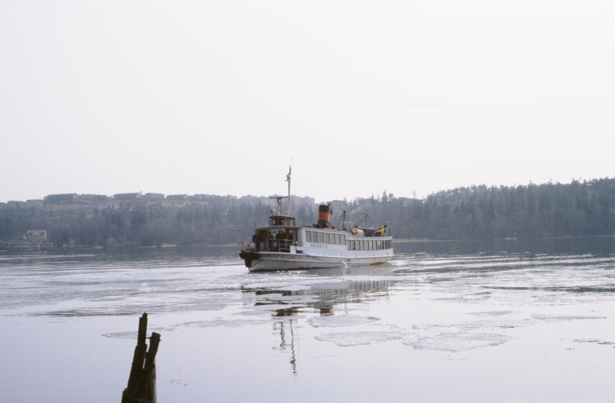 M/S Angantyr vid Nya Kungshatts bga 13.4 1979