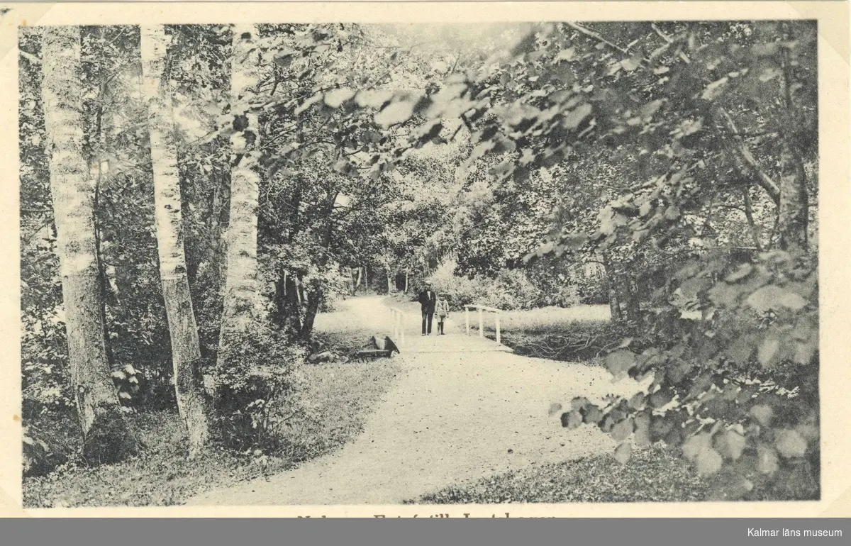 Vykort med motiv från Joelskogen i Nybro.