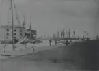 Drivis i Ölandshamnen den 18 maj 1889.