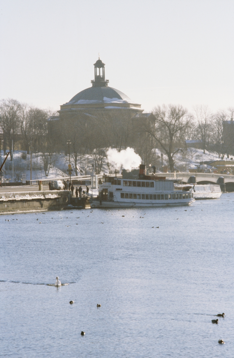 Drottningholm 24.2  1979