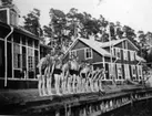 Hörningsholm, förläggningen med badkajen. Studentbatt. A 1.