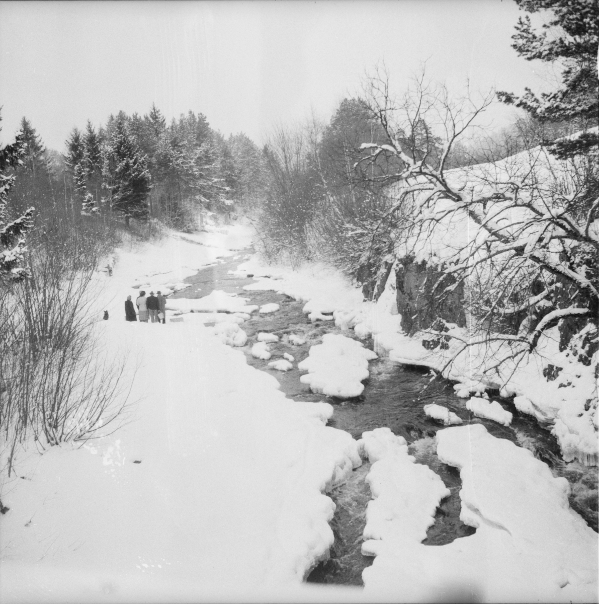 Vardens arkiv. "Håpløse vannforhold på Jøntvedt"  18.02.1954