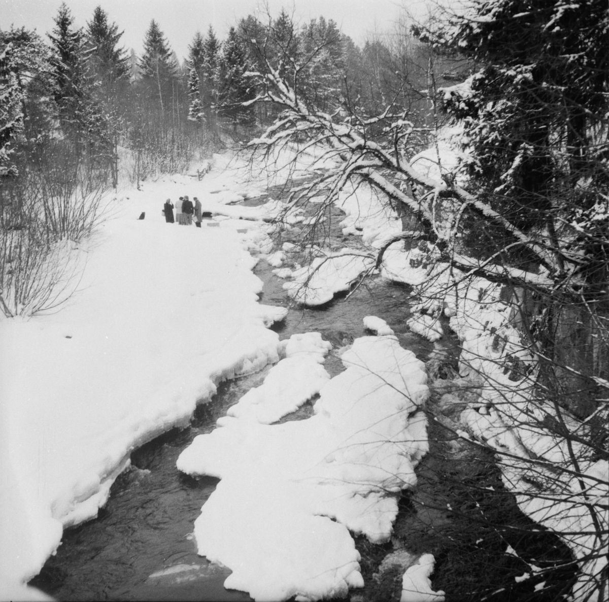 Vardens arkiv. "Håpløse vannforhold på Jøntvedt"  18.02.1954