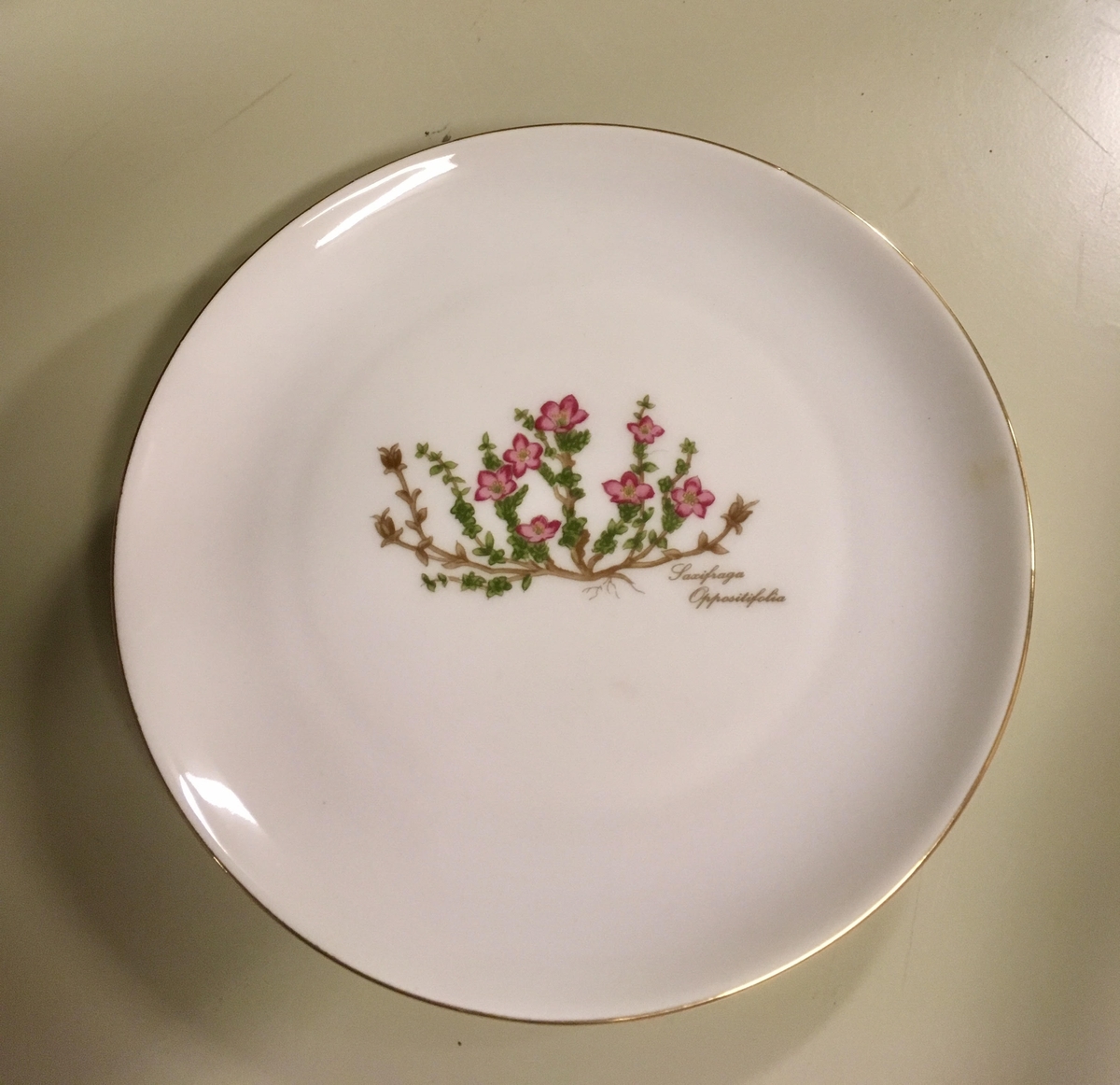 To asjetter, ett tefat og en kopp i hvitt porselen med grønn kant fra Porsgunds Fjellflora-serie. Blomsterdekor i grønt, gult og lilla.

To asjetter, ett tefat og to kopper i hvitt porselen med gullkant fra Bavaria-Germany. Motivet ligner Porsgrunds motiv, men ikke ren kopi.