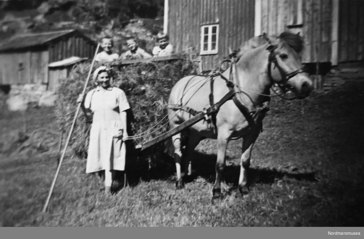 Kjøring av tørr-høy på gården Valen med hesten Vera.  Personene er:  Borghild Valen Kvalvåg, Einar Kvalvåg, John gunnar Kvalvaag og Bjørg Else Kvalvaag Hansen.  Gården tilhørte den gang Bremsnes kommune.   Bilde fra fotoinnsamlinga i Frei kommune 1978-79. Innsamla og registrert av Freielever på Nordlandet ungdommskole. Fra Nordmøre Museum sin fotosamling. Reg: EFR
