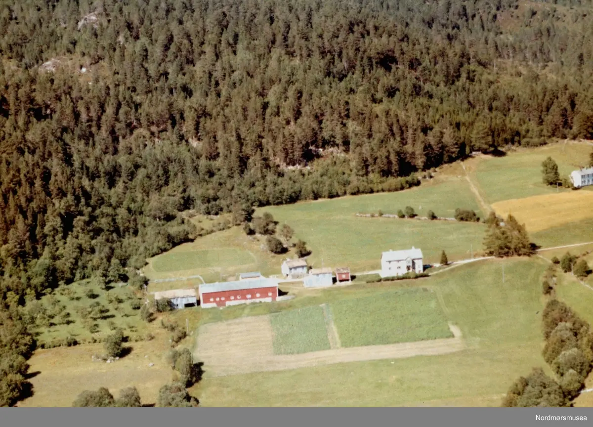 Flyfoto fra gården til Erling L. Meisingset, Rotås på Meisingset. Bildet er datert 30. juli 1963, og fotograf er Widerøe's Flyveselskap a/s. Fra Nordmøre Museums fotosamlinger.
