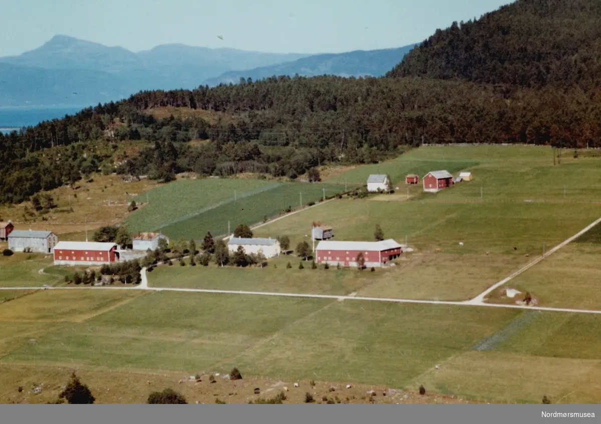 Flyfoto fra Hanem på Meisingset. Bildet er datert 30. juli 1963, og fotograf er Widerøe's Flyveselskap a/s. Fra Nordmøre Museums fotosamlinger.
