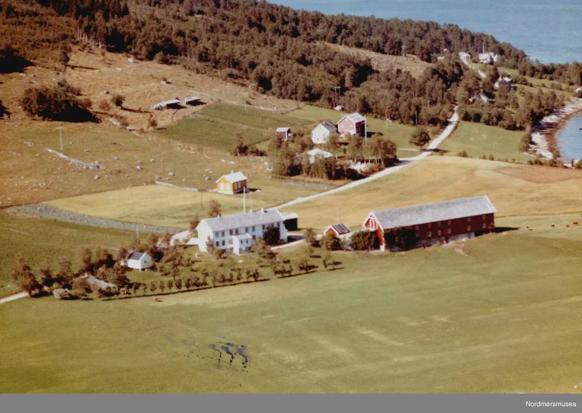 Flyfoto med gården trolig til Anders J. Røttingsnes på Meisingset i Tingvoll. Bildet er datert 30. juli 1963, og fotograf er Widerøe's Flyveselskap a/s. Fra Nordmøre Museums fotosamlinger
