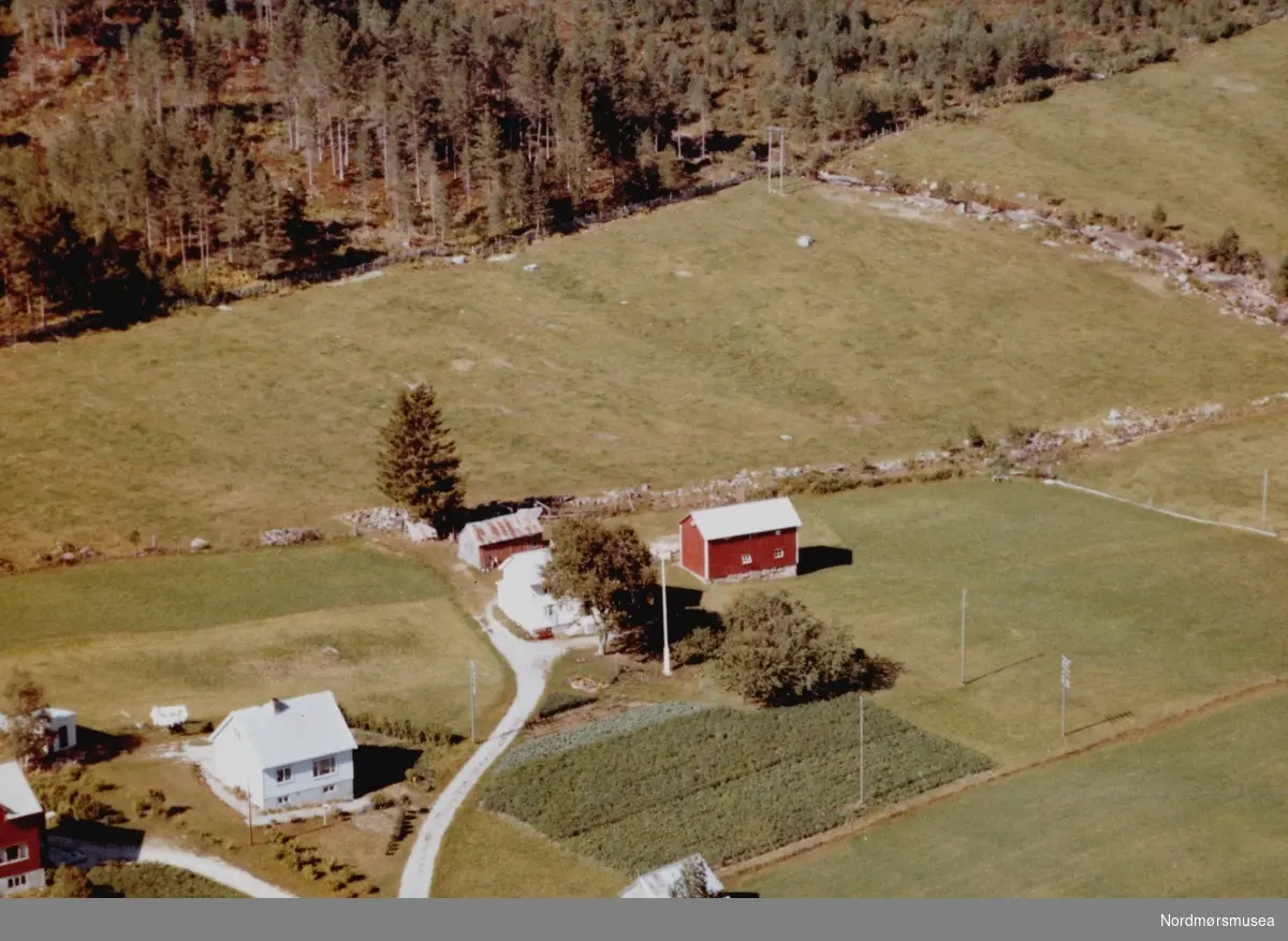 Flyfoto fra Meisingset på Tingvoll. Bildet er datert 30. juli 1963, og fotograf er Widerøe's Flyveselskap a/s. Fra Nordmøre Museums fotosamlinger. /Reg:EFR2013/



