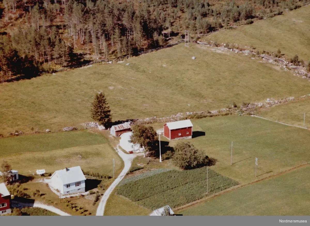 Flyfoto fra Meisingset på Tingvoll. Bildet er datert 30. juli 1963, og fotograf er Widerøe's Flyveselskap a/s. Fra Nordmøre Museums fotosamlinger. /Reg:EFR2013/



