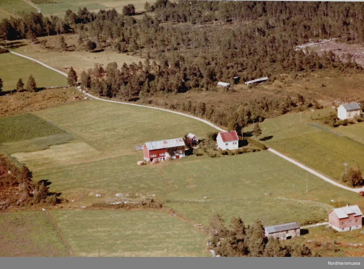 Flyfoto fra Skoglund på Tingvoll. Bildet er datert 30. juli 1963, og fotograf er Widerøe's Flyveselskap a/s. Fra Nordmøre Museums fotosamlinger.
