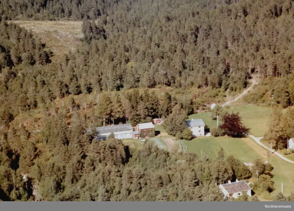 Flyfoto trolig fra gården til Sverre Hagen på Gyl i Tingvoll kommune. Bildet er datert 30. juli 1963, og fotograf er Widerøe's Flyveselskap a/s. Fra Nordmøre Museums fotosamlinger.  /Reg:EFR2013/
