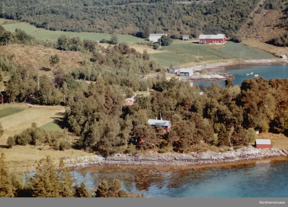 Flyfoto fra et hytteområde på Øydegard i Tingvoll kommune. Gården Kjørvik kan sees bakerst i bildet. Bildet er datert 30. juli 1963, og fotograf er Widerøe's Flyveselskap a/s. Fra Nordmøre Museums fotosamlinger. /Reg:EFR2013/

